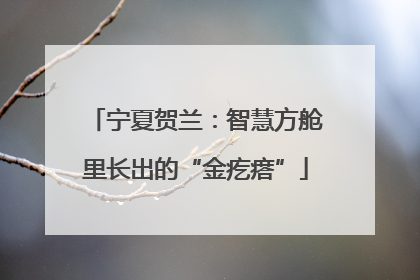 宁夏贺兰：智慧方舱里长出的“金疙瘩”