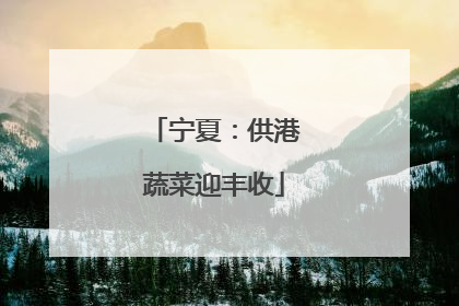 宁夏：供港蔬菜迎丰收