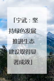 宁武：坚持绿色发展 推进生态建设取得显著成效
