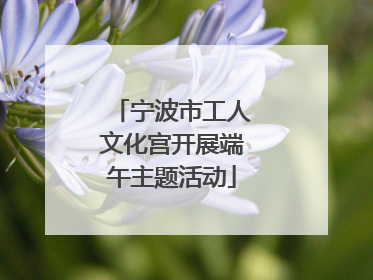 宁波市工人文化宫开展端午主题活动
