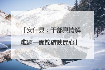 安仁县：干部真情解难题一面锦旗映民心
