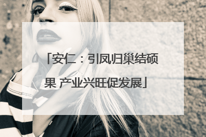 安仁：引凤归巢结硕果 产业兴旺促发展