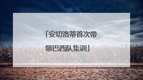 安切洛蒂首次带领巴西队集训
