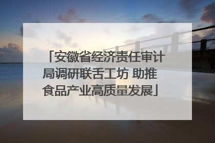 安徽省经济责任审计局调研联舌工坊 助推食品产业高质量发展