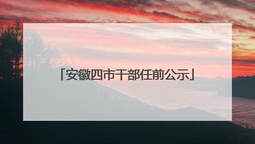 安徽四市干部任前公示