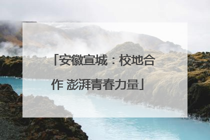 安徽宣城：校地合作 澎湃青春力量
