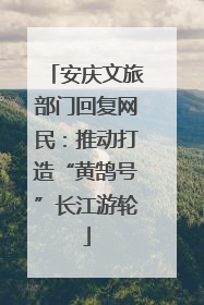 安庆文旅部门回复网民：推动打造“黄鹄号”长江游轮