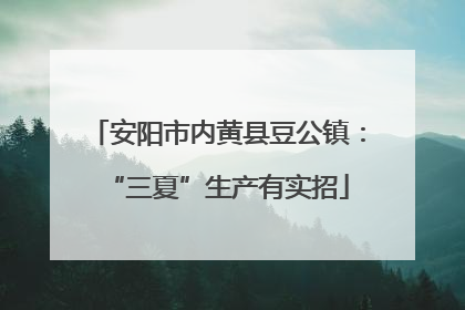 安阳市内黄县豆公镇：“三夏”生产有实招