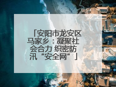 安阳市龙安区马家乡：凝聚社会合力 织密防汛“安全网”