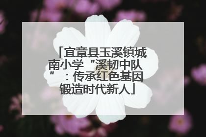 宜章县玉溪镇城南小学“溪韧中队”：传承红色基因 锻造时代新人