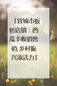 宜城市板桥店镇：西瓜丰收销售俏 乡村振兴添活力
