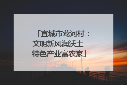 宜城市莺河村：文明新风润沃土 特色产业富农家