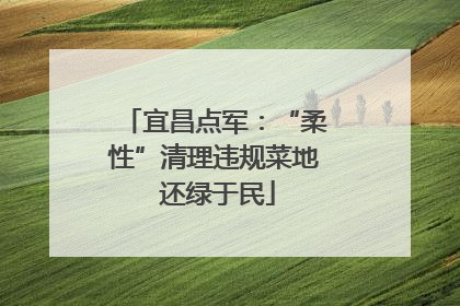 宜昌点军：“柔性”清理违规菜地 还绿于民