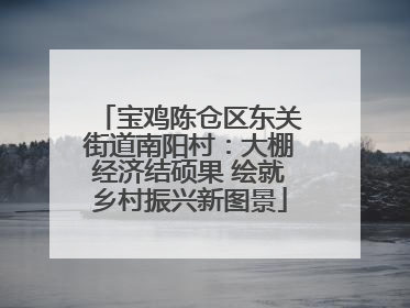 宝鸡陈仓区东关街道南阳村：大棚经济结硕果 绘就乡村振兴新图景