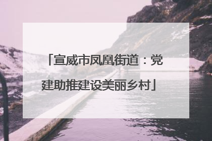 宣威市凤凰街道：党建助推建设美丽乡村