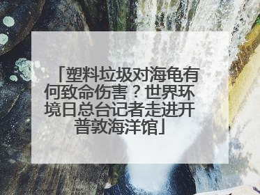 塑料垃圾对海龟有何致命伤害？世界环境日总台记者走进开普敦海洋馆