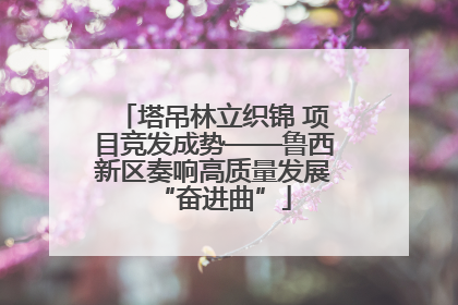 塔吊林立织锦 项目竞发成势——鲁西新区奏响高质量发展“奋进曲”