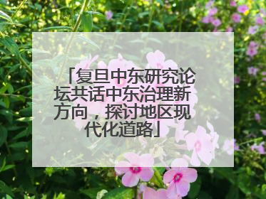 复旦中东研究论坛共话中东治理新方向，探讨地区现代化道路