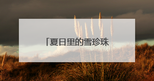 夏日里的雪珍珠——华北珍珠梅