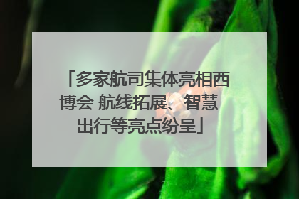多家航司集体亮相西博会 航线拓展、智慧出行等亮点纷呈