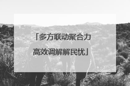 多方联动聚合力 高效调解解民忧