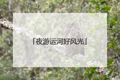 夜游运河好风光