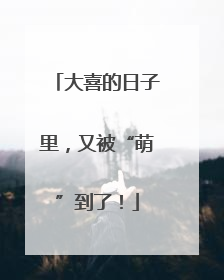 大喜的日子里，又被“萌”到了！