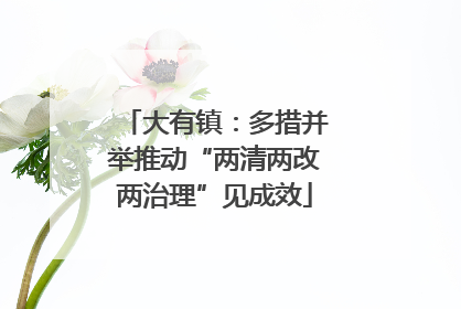 大有镇：多措并举推动“两清两改两治理”见成效