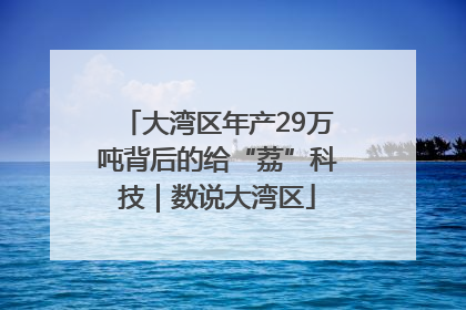 大湾区年产29万吨背后的给“荔”科技｜数说大湾区