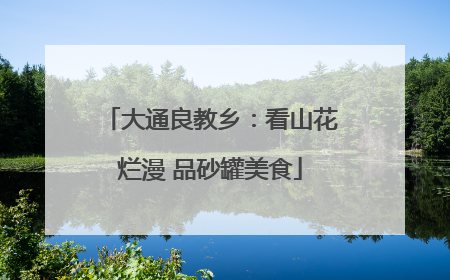 大通良教乡：看山花烂漫 品砂罐美食