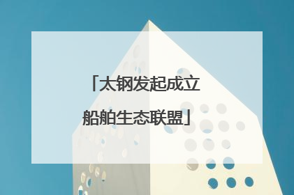 太钢发起成立船舶生态联盟