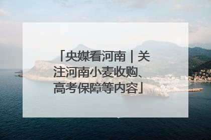 央媒看河南｜关注河南小麦收购、高考保障等内容