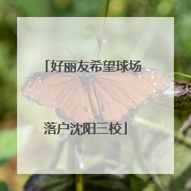 好丽友希望球场落户沈阳三校