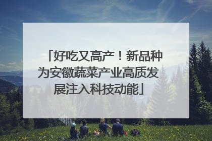 好吃又高产！新品种为安徽蔬菜产业高质发展注入科技动能