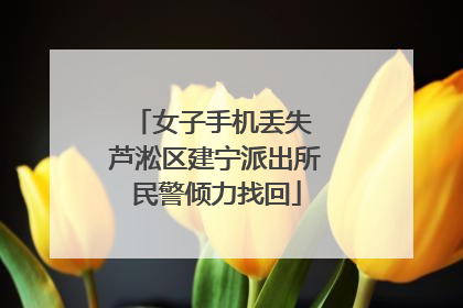 女子手机丢失 芦淞区建宁派出所民警倾力找回