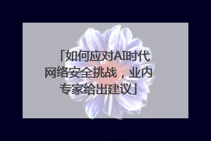 如何应对AI时代网络安全挑战，业内专家给出建议
