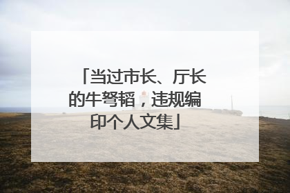 当过市长、厅长的牛弩韬，违规编印个人文集