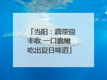 当阳：藕带迎丰收 一口脆嫩吃出夏日味道