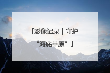 影像记录｜守护“海底草原”