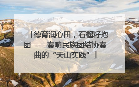德育润心田，石榴籽抱团——奏响民族团结协奏曲的“天山实践”
