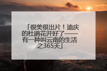 很美很出片！迪庆的杜鹃花开好了——有一种叫云南的生活之365天