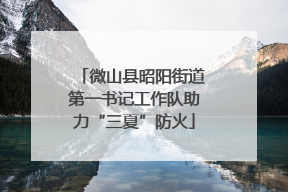 微山县昭阳街道第一书记工作队助力“三夏”防火