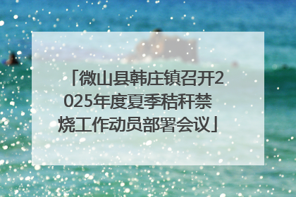 微山县韩庄镇召开2025年度夏季秸秆禁烧工作动员部署会议