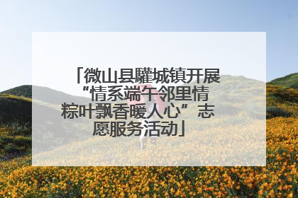 微山县驩城镇开展“情系端午邻里情 粽叶飘香暖人心”志愿服务活动