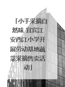 小手采摘自然味 宜宾江安西江小学开展劳动基地蔬菜采摘售卖活动