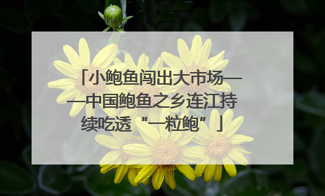 小鲍鱼闯出大市场——中国鲍鱼之乡连江持续吃透“一粒鲍”