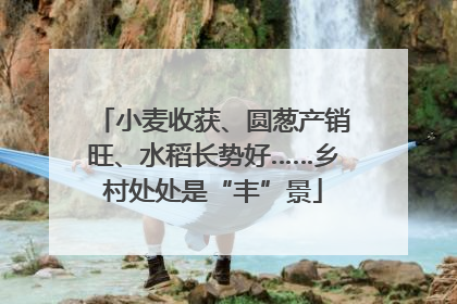 小麦收获、圆葱产销旺、水稻长势好……乡村处处是“丰”景