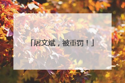 屠文斌，被重罚！