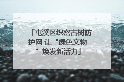 屯溪区织密古树防护网 让“绿色文物”焕发新活力