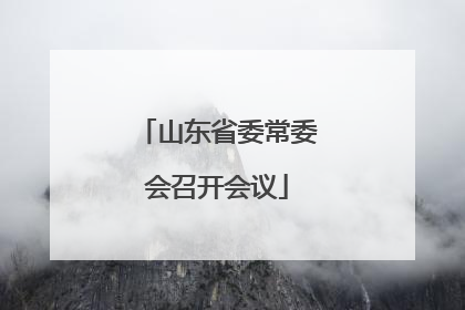 山东省委常委会召开会议